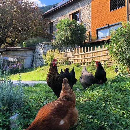 Le Rozan La Tronche (Isere)